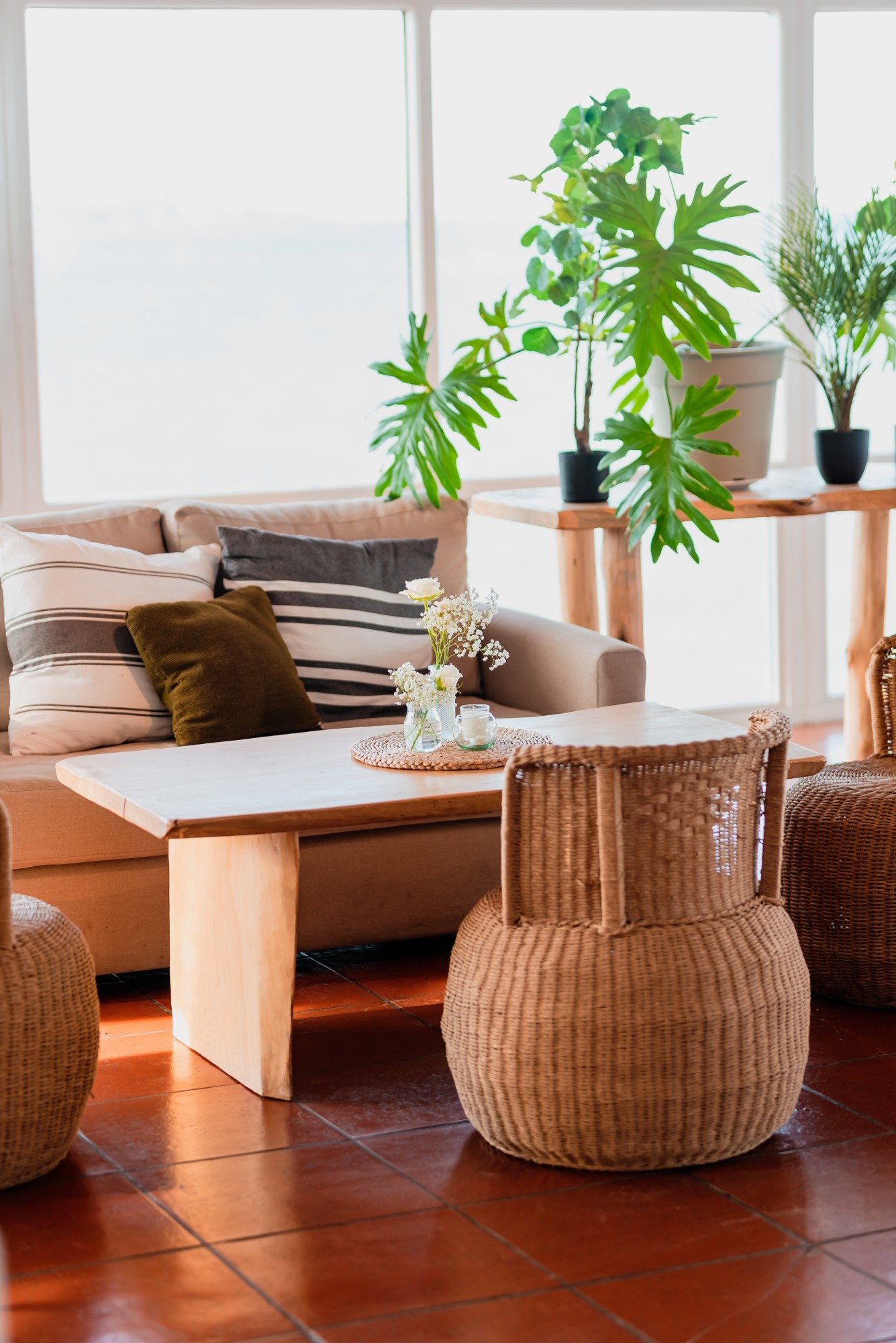 Living con sofá, plantas y puffs de rattan — Mar Eventos